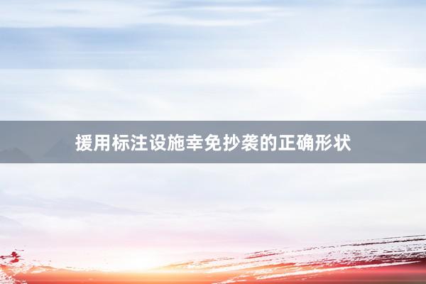 援用标注设施幸免抄袭的正确形状