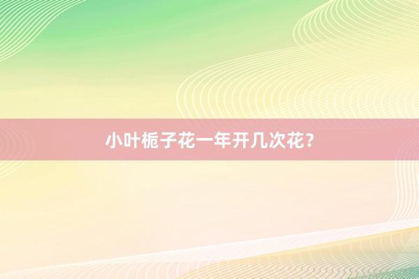 小叶栀子花一年开几次花？
