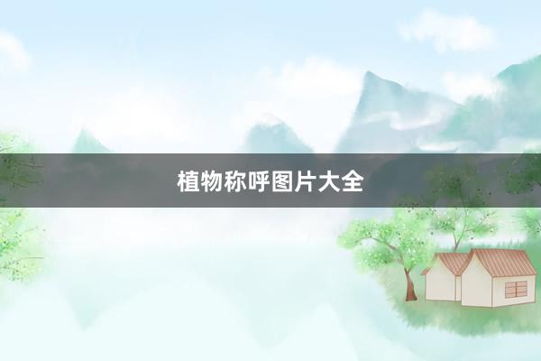 植物称呼图片大全