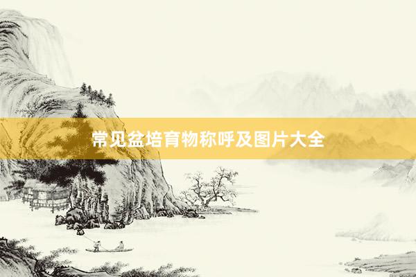 常见盆培育物称呼及图片大全