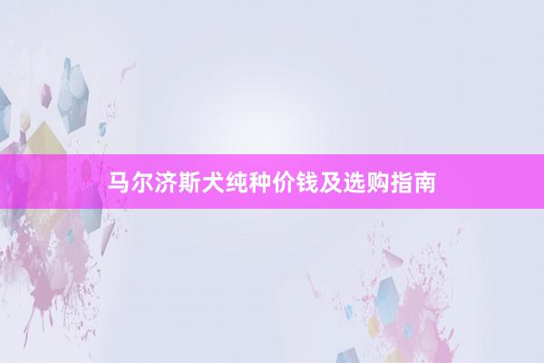马尔济斯犬纯种价钱及选购指南