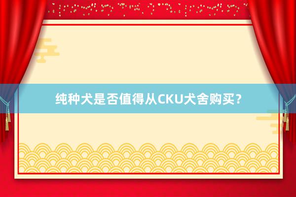 纯种犬是否值得从CKU犬舍购买？