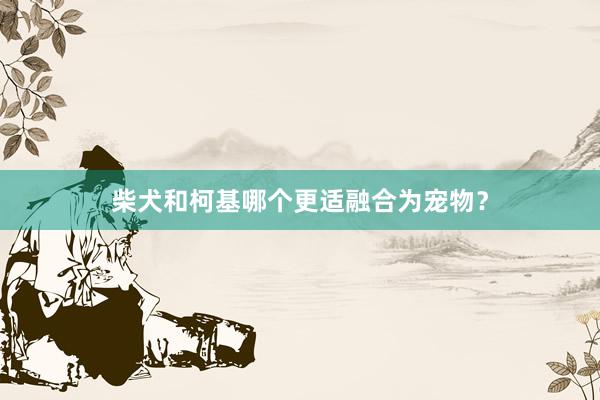柴犬和柯基哪个更适融合为宠物？